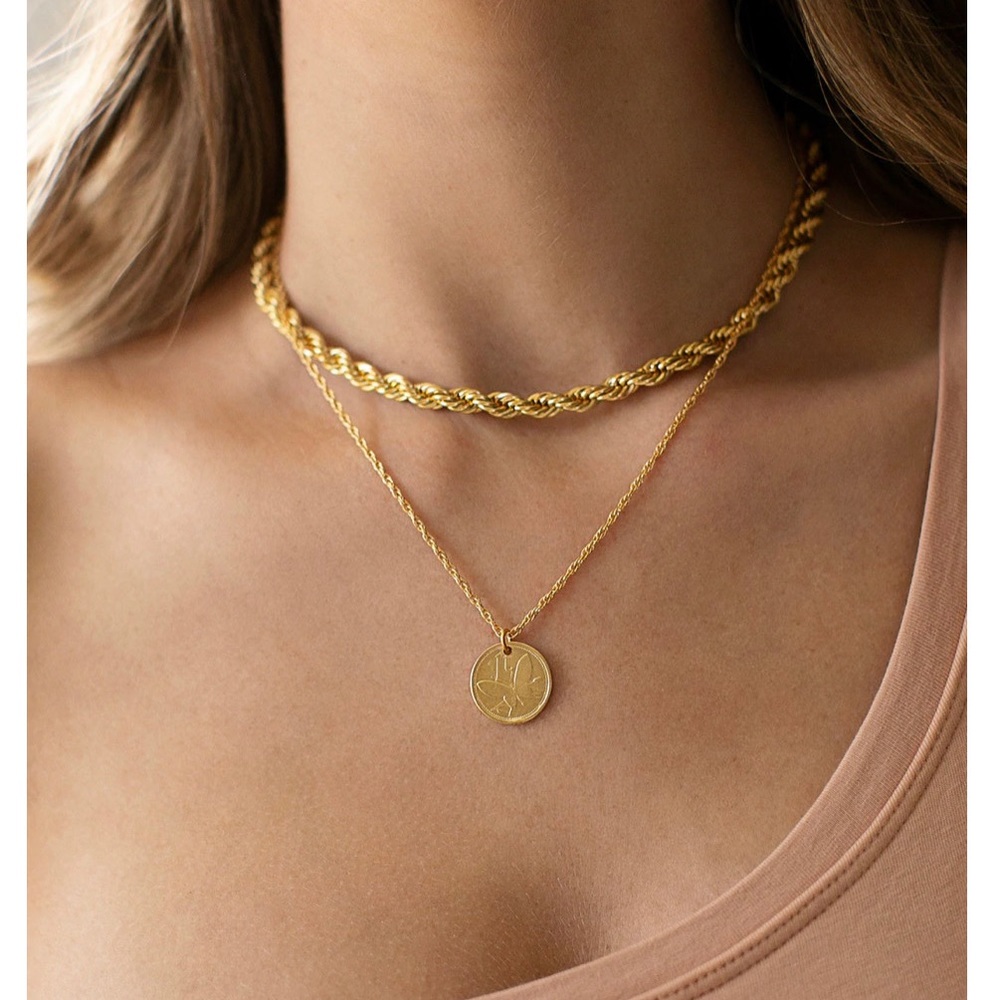 Electric Picks Gold Butterfly Coin Necklace
